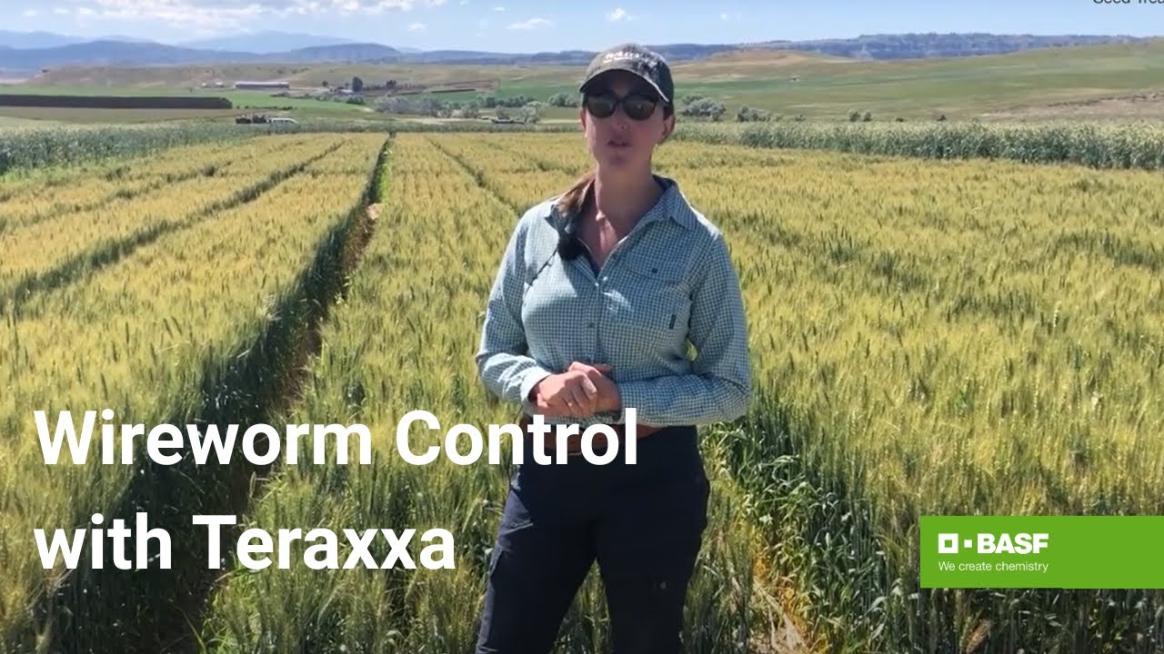 Reddy Anna ID: Unlocking Identity, Community Benefits, and the Power of the Reddy Book Club