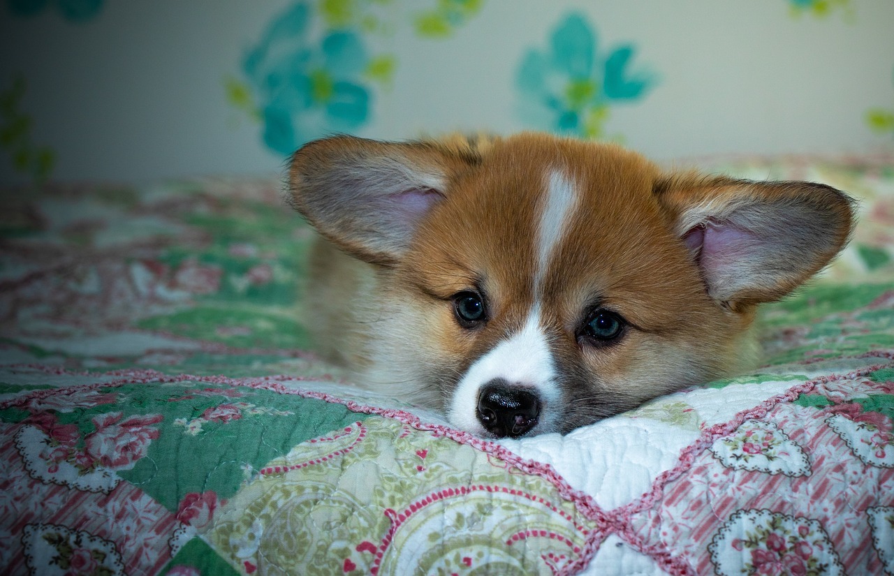 99exch Review: How India’s Leading Cryptocurrency Exchange Stands Out in 2024